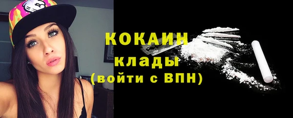 ГАЛЛЮЦИНОГЕННЫЕ ГРИБЫ Горно-Алтайск
