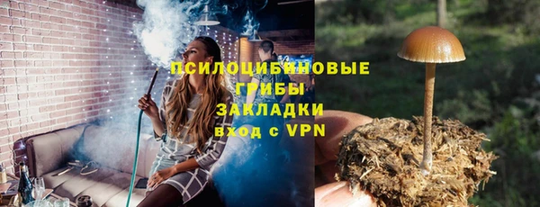 прущая мука Горняк