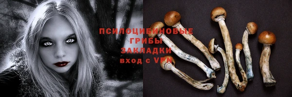 ГАЛЛЮЦИНОГЕННЫЕ ГРИБЫ Горно-Алтайск